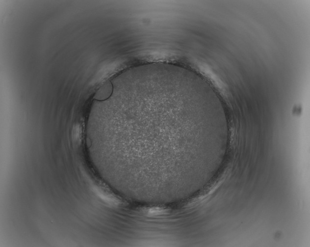 X0000094330165200711091414