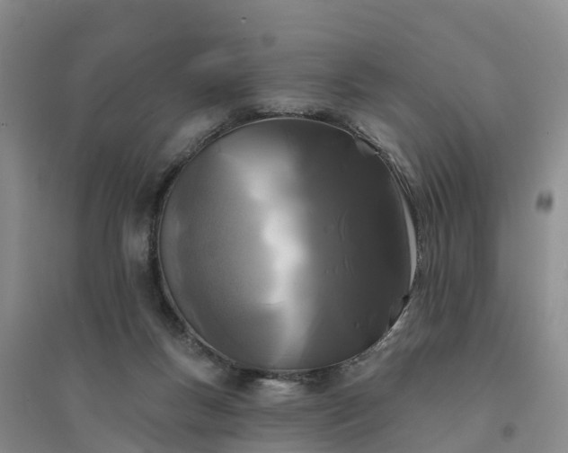 X0000094330167200711091414