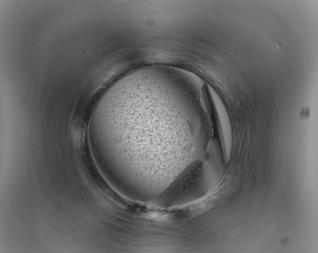 X0000094330168200711091414