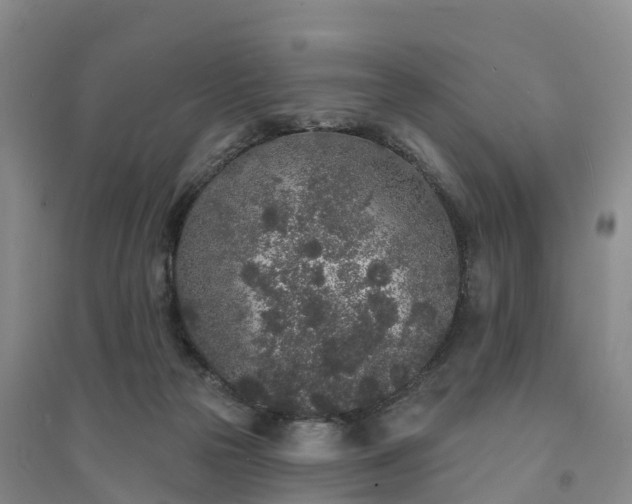 X0000094330169200711091414