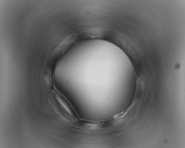 X0000094330170200711091414