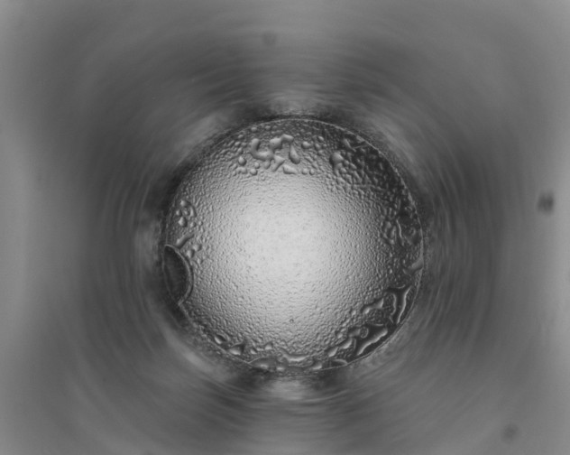 X0000094330171200711091414