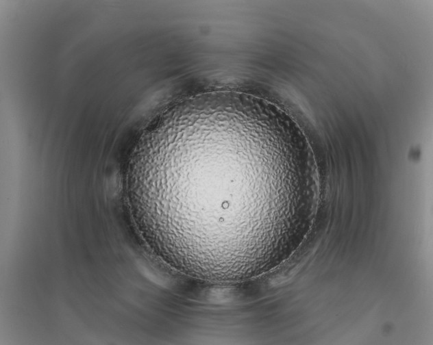 X0000094330173200711091414