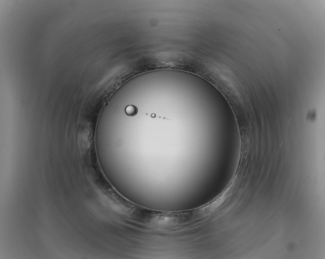 X0000094330174200711091414