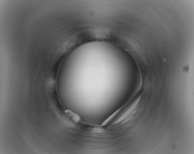 X0000094330176200711091414