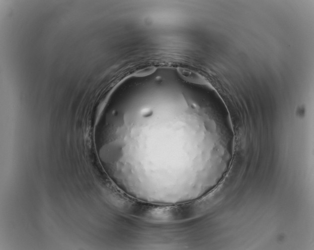 X0000094330178200711091414