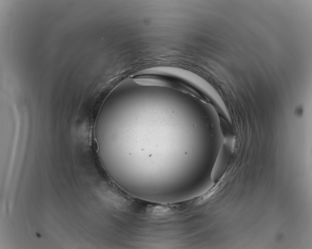 X0000094330180200711091414
