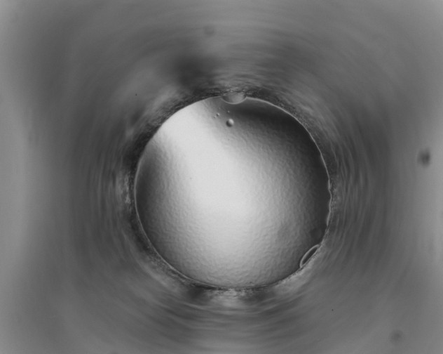 X0000094330182200711091414