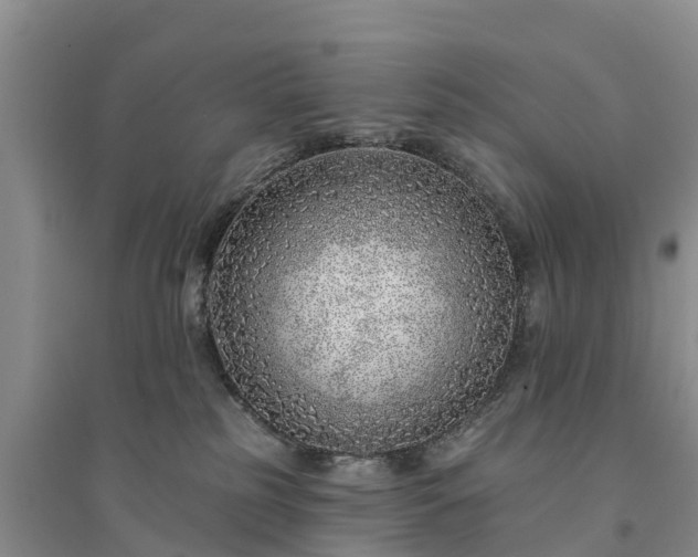X0000094330185200711091414