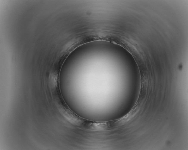 X0000094330188200711091414
