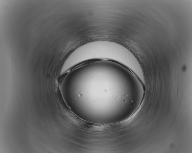 X0000094330190200711091414