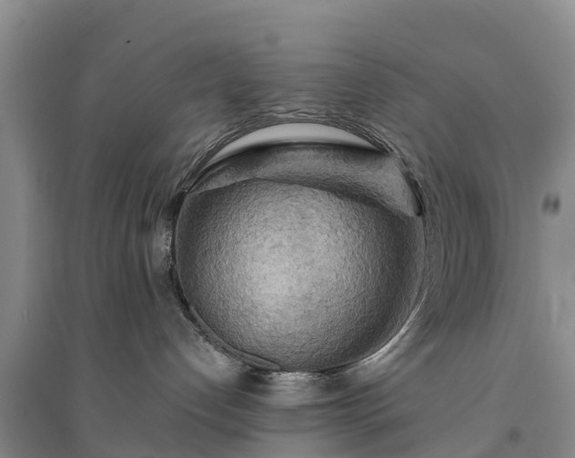 X0000094330192200711091414