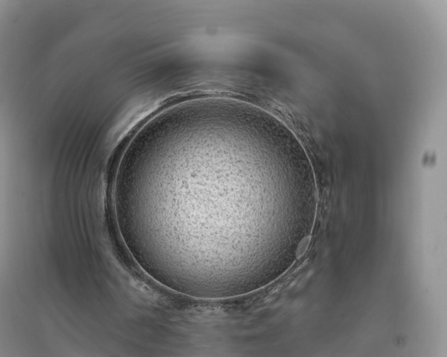 X0000094330194200711091413