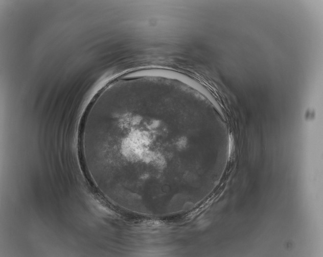 X0000094330195200711091413