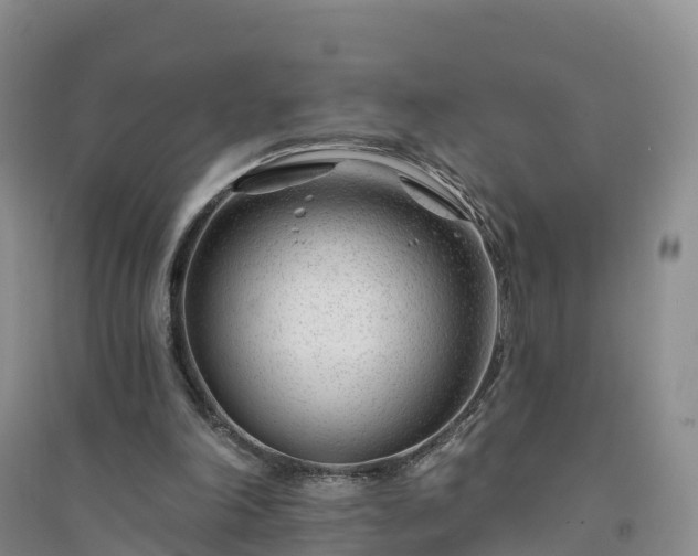 X0000094330198200711091413