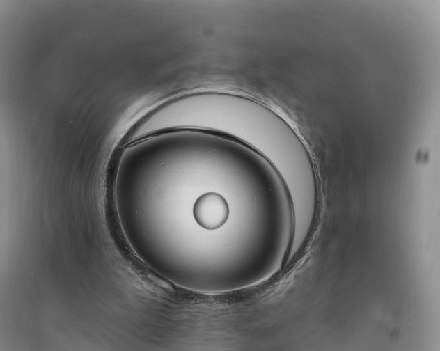X0000094330199200711091413