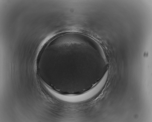 X0000094330200200711091413