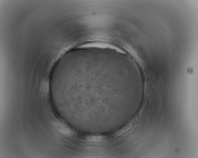 X0000094330202200711091413