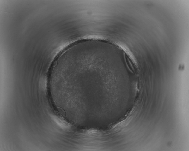 X0000094330204200711091413