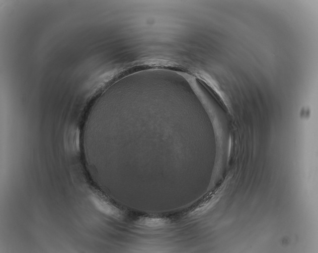 X0000094330205200711091413