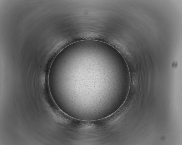 X0000094330206200711091413