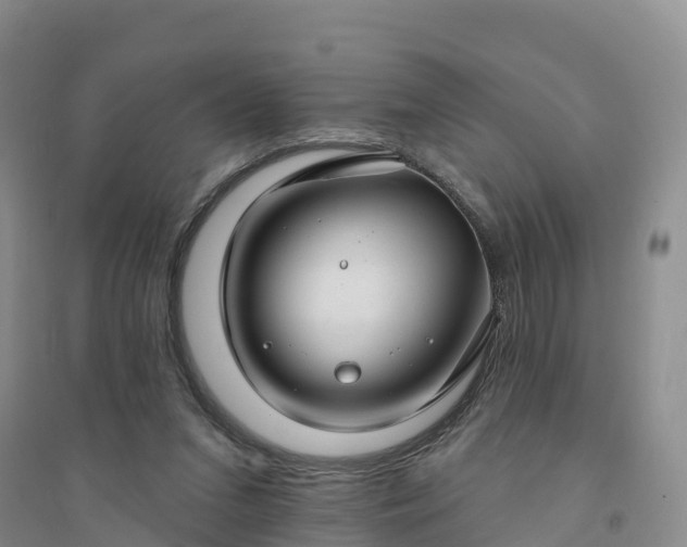 X0000094330207200711091413