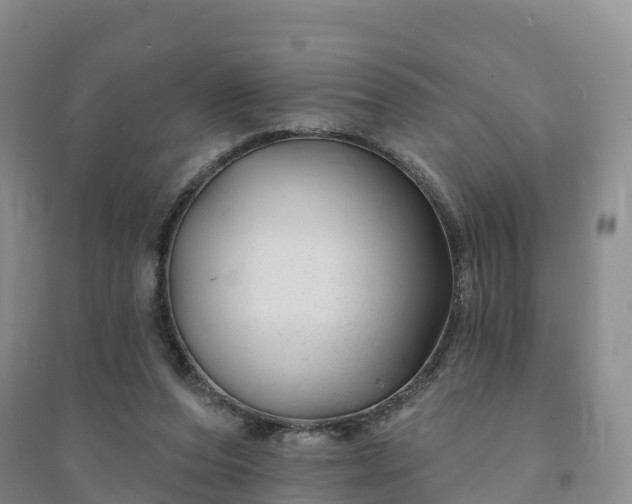X0000094330208200711091413