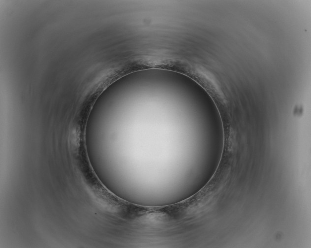 X0000094330210200711091413