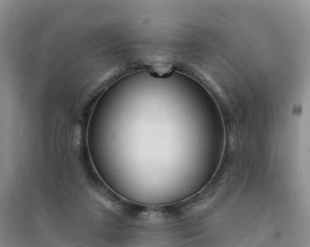 X0000094330211200711091413