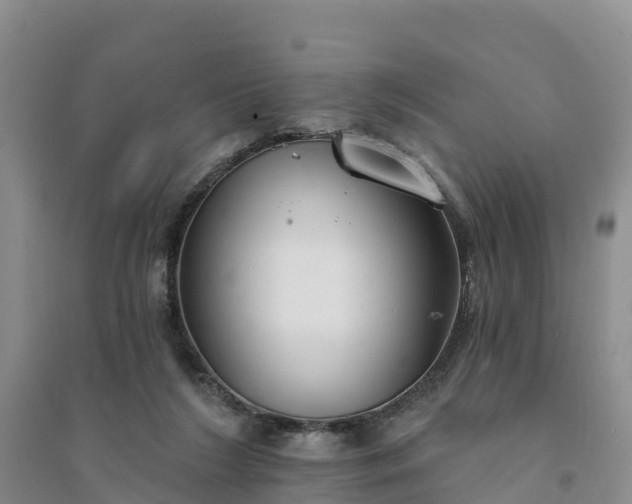 X0000094330212200711091413