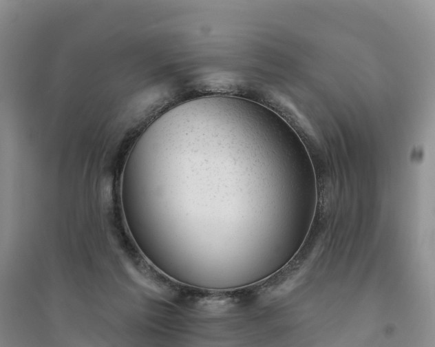 X0000094330213200711091413