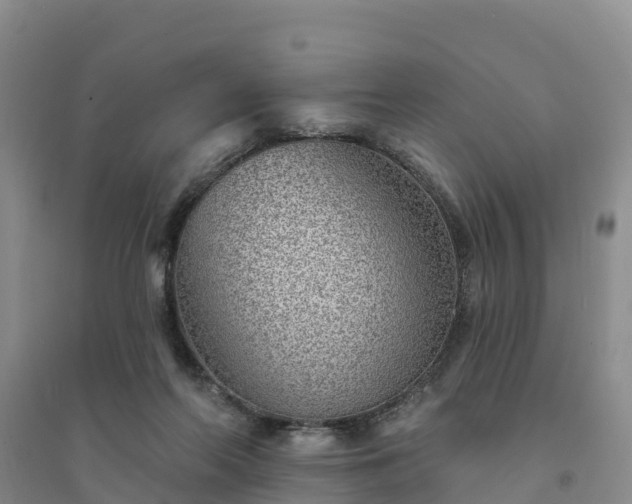 X0000094330214200711091413