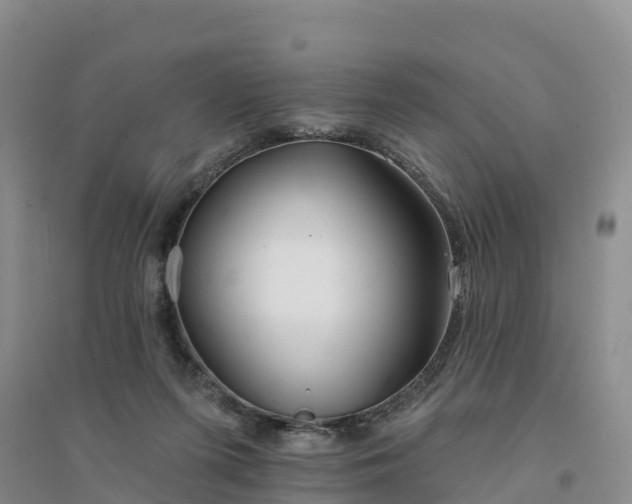 X0000094330215200711091413