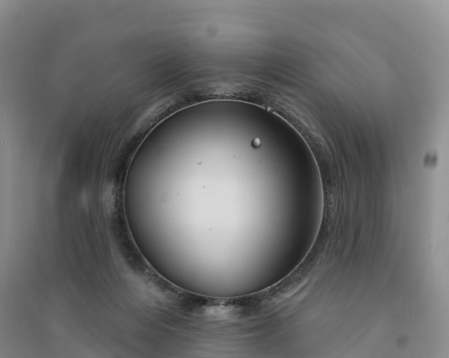 X0000094330216200711091413