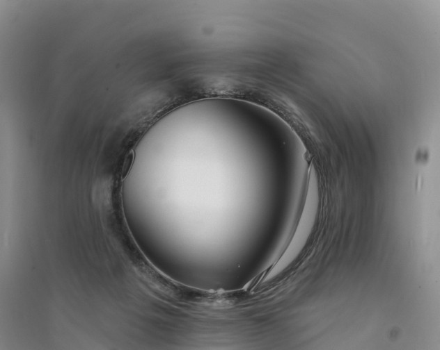 X0000094330217200711091413