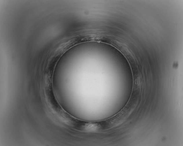 X0000094330218200711091413