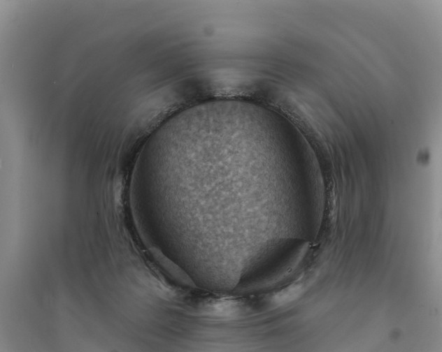 X0000094330219200711091413