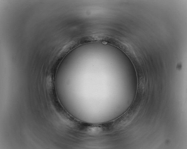 X0000094330220200711091413