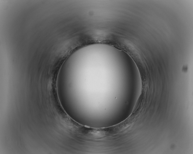X0000094330221200711091413