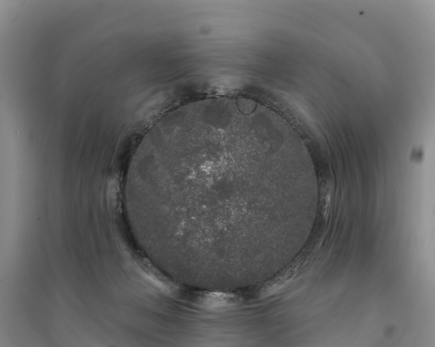 X0000094330222200711091413