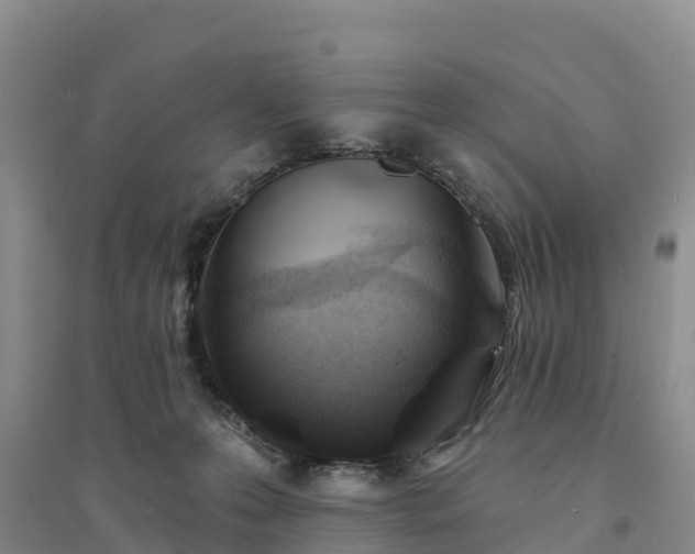 X0000094330223200711091413