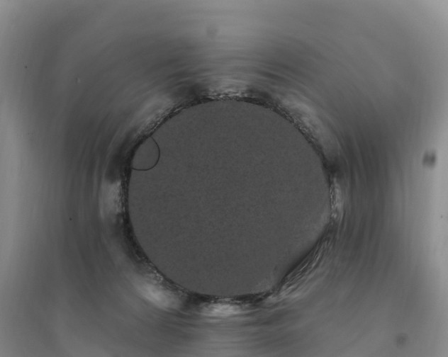 X0000094330224200711091413