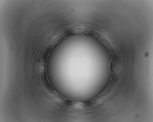 X0000094330226200711091413