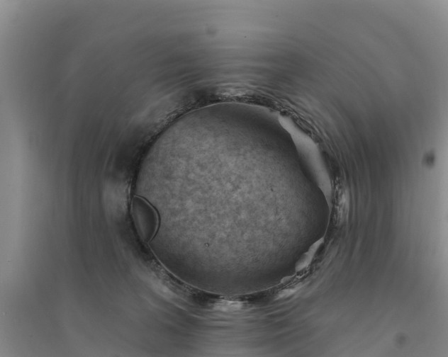 X0000094330227200711091413