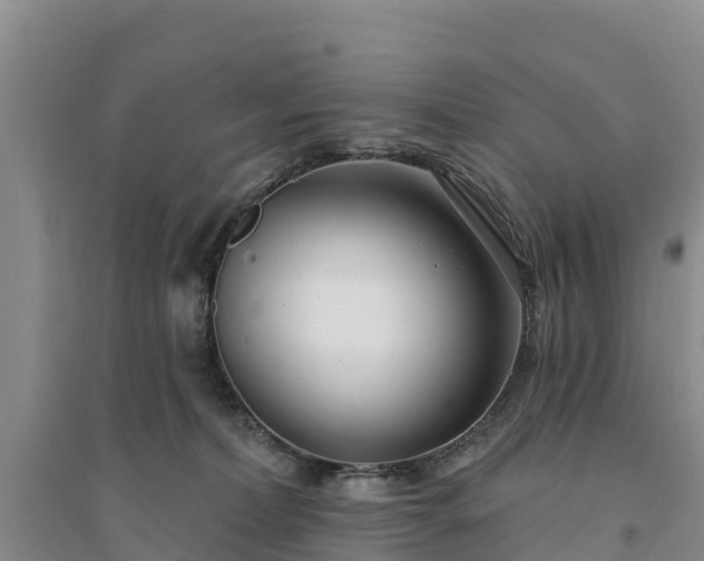X0000094330228200711091413