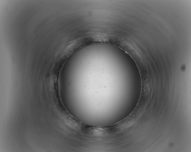 X0000094330229200711091413