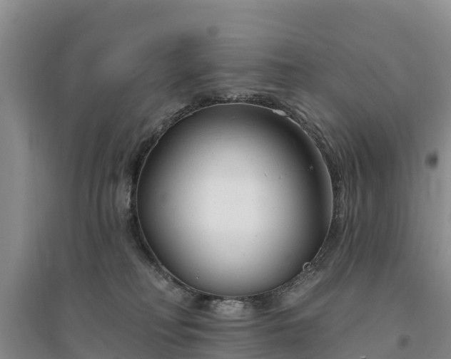 X0000094330230200711091413
