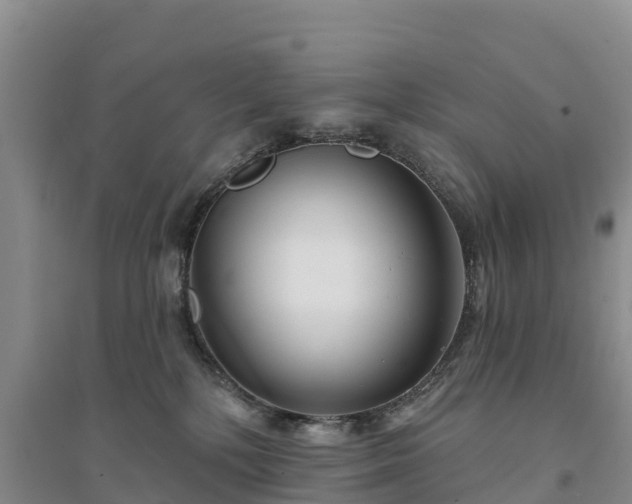X0000094330232200711091413