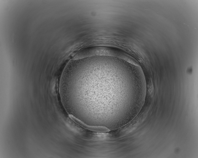 X0000094330233200711091413