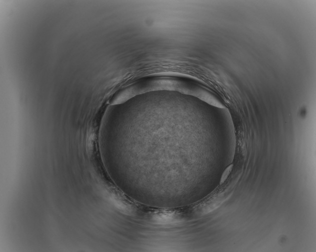 X0000094330235200711091413